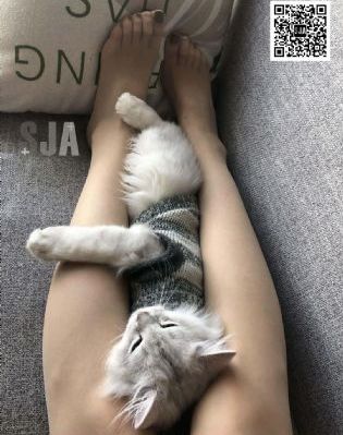 《相逢时节》_720高清视频观看
